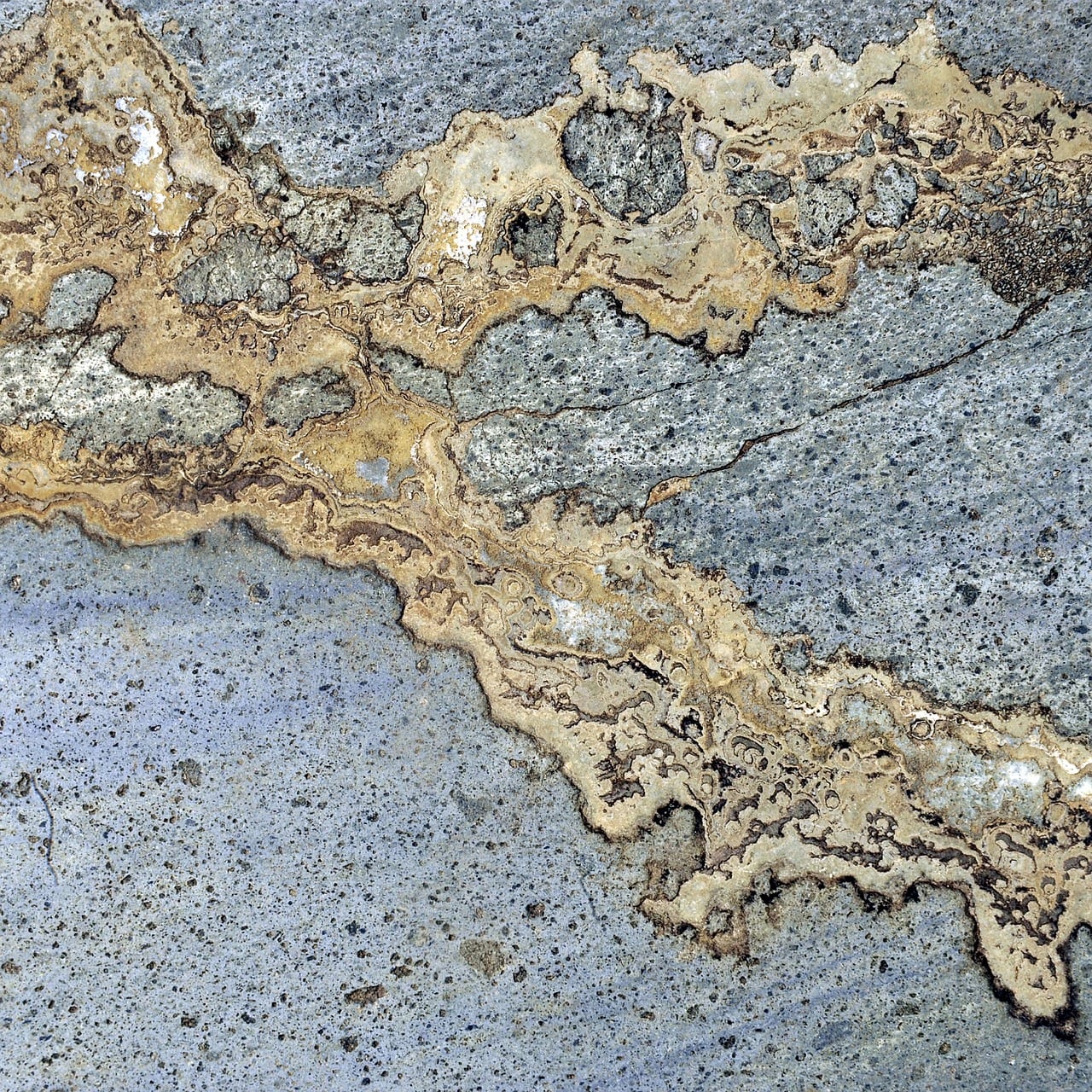 Calacatta Oro